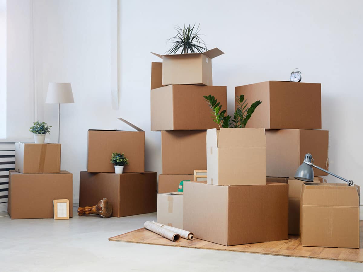 Vide Maison - Contact